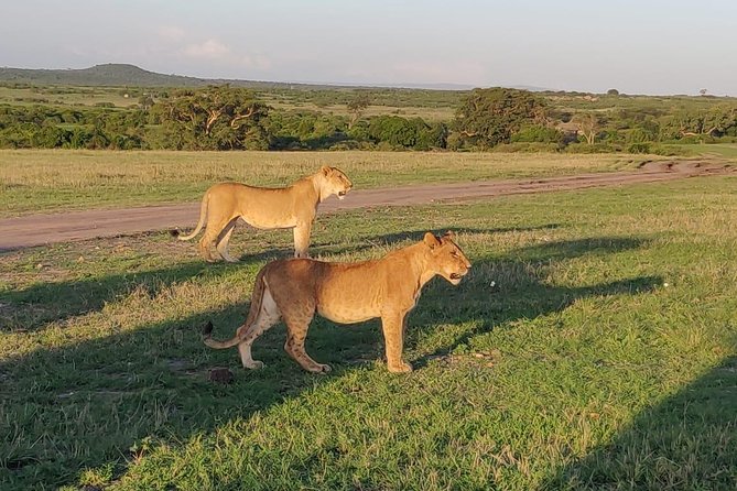 Overnight Amboseli National Park Safari from Nairobi - Price and value at $435 per person: what you get, what to confirm