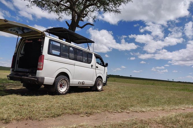 Overnight Amboseli National Park Safari from Nairobi - Wildlife odds and how guides shape your sightings