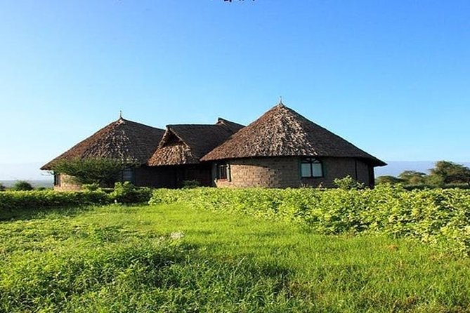 Overnight Amboseli National Park Safari from Nairobi - The 16:00 evening game drive and why it matters