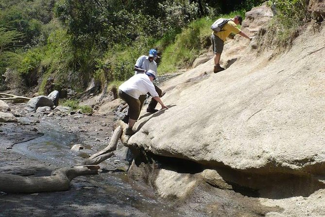 Overnight Exciting Tour To Mt. Longonot and Hell's Gate Park - Lake Naivasha: Marina Camp lunch, then a bird and hippo boat ride