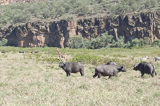 Overnight Mount Longonot and Hells Gate National Park From Nairobi - Hells Gate by bike: moving through gorges at your own pace