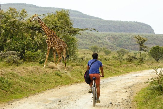 Overnight Mount Longonot and Hells Gate National Park From Nairobi - Mount Longonot crater hike: the part you will remember