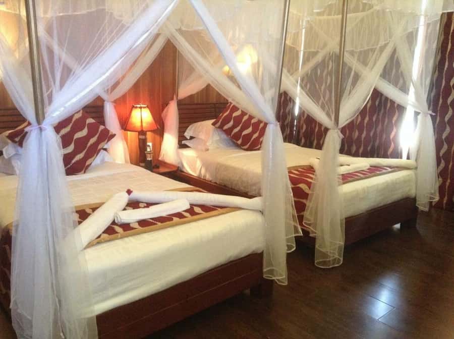 Overnight Private Safari To Masai Mara - What Big Five Chances Look Like in Two Days