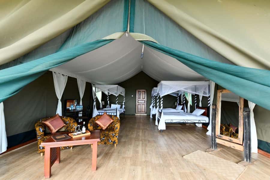 Overnight Private Safari To Masai Mara - Food, Water, and the Safari Rhythm