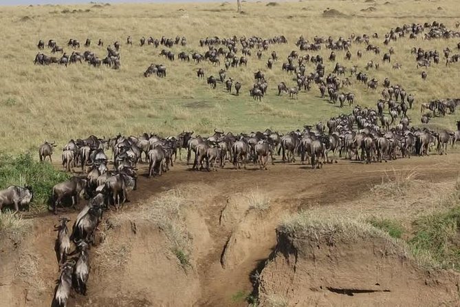 Overnight private Safari to Masai Mara National Reserve. - Key highlights I’d plan around