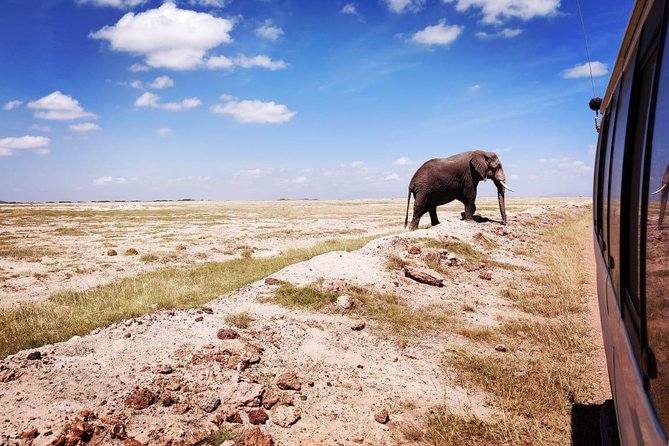 Overnight Safari to Amboseli National Park - Day two at 06:00: Kilimanjaro from the lodge, then a morning game drive