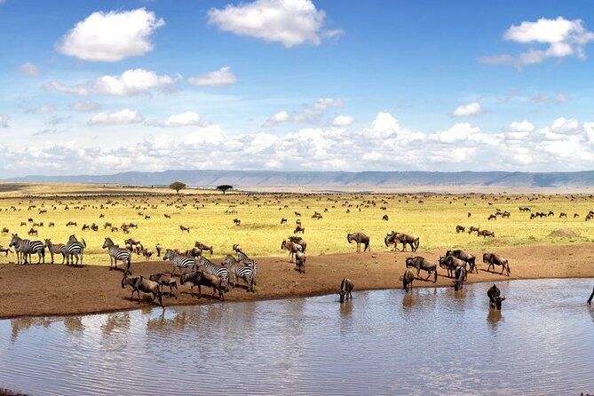 Overnight Safari To Maasai Mara - Price, meals, and what is included so you can budget smart