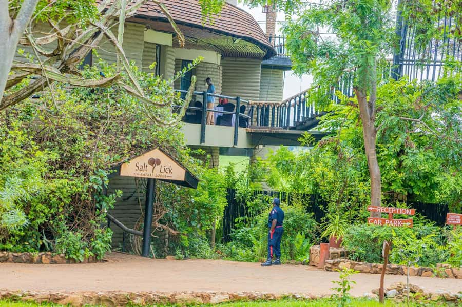 Overnight Safari to Saltlick through Tsavo East Park - Guide and organization: where the reviews actually help you pick confidence