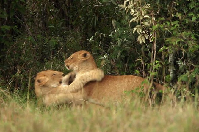 Overnight Safari to Tsavo East National Park from Mombasa/Diani - Park Entry Fees and Price Value, The Real Cost Math