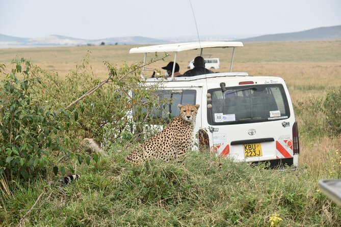 Overnight Safari to Tsavo East with Pick Up From Mombasa - Tsavo East From the Coast, Why It Feels Efficient