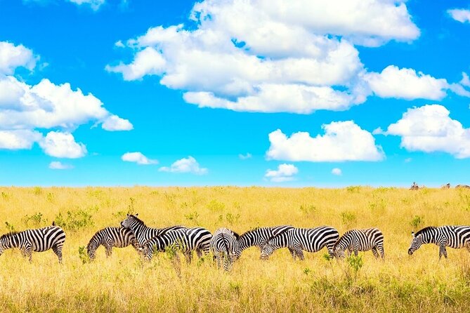 Overnight Tour in Amboseli National Park from Nairobi - Entering Amboseli From Nairobi: The Morning Drive That Sets the Tone