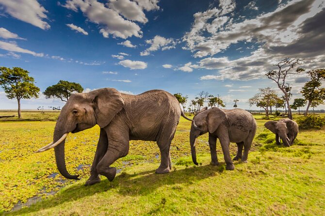 Private 3-Day Masai Mara Safari Adventure - Getting to Maasai Mara without getting stuck in logistics