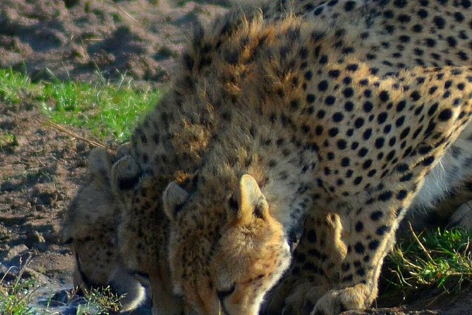 Private 3 Day Tsavo East Safari from Mombasa - Tsavo East in Three Days, Private 4x4 Tracks from Mombasa