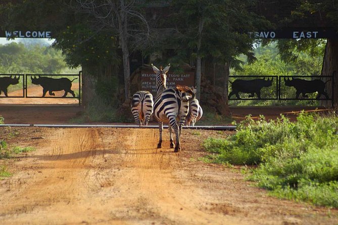 Private 3 Day Tsavo East Safari from Mombasa - Pickup, Drive Through Kenya, and Arrival at VOI Wildlife Lodge