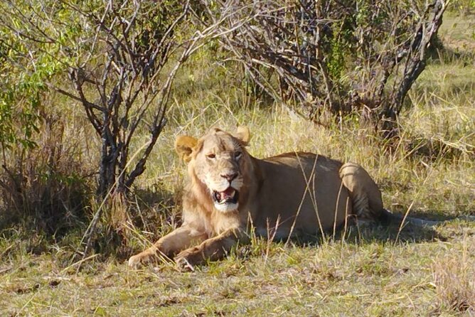 Private 5 Day Maasai Mara with Lake Nakuru and Lake Naivasha Tour - Day 1: Rift Valley views, then Maasai Mara camp life at sunset