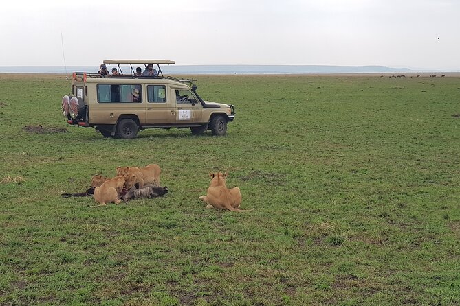 Private 5 Day Maasai Mara with Lake Nakuru and Lake Naivasha Tour - Day 3: Lake Nakuru National Park, flamingos, and the rare white rhino chance
