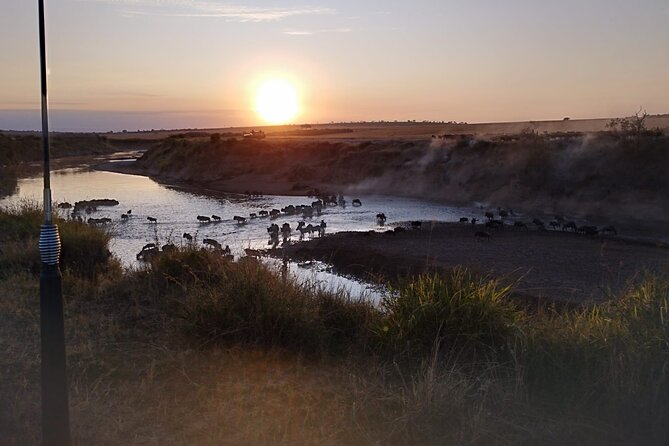Private 5 Day Maasai Mara with Lake Nakuru and Lake Naivasha Tour - Price and what you truly get for $1,860 per person