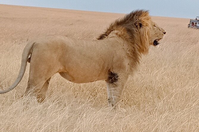 Private 6-Days Tour Exploring in Amboseli & Nakuru National Park - Quick hits that matter