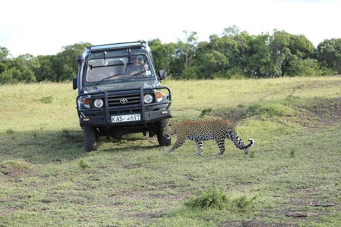 Private 7 Days Kenya Safari Amboseli, Naivasha, Nakuru, Mara - Amboseli National Park: elephants, possible Kilimanjaro views, and the birding edge