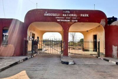 Private Day Tour Amboseli National Park, View Mt. Kilimanjaro 4*4
