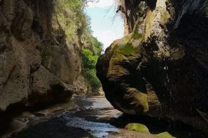 Private Day tour to Hell's Gate National Park and Lake Naivasha - Timing that actually makes sense: 7 a.m. out, 4 p.m. back