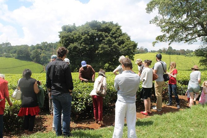 Private Day Trip to Kiambethu Tea Farm in Limuru from Nairobi - Leaving Nairobi for Limuru: timing, traffic reality, and altitude