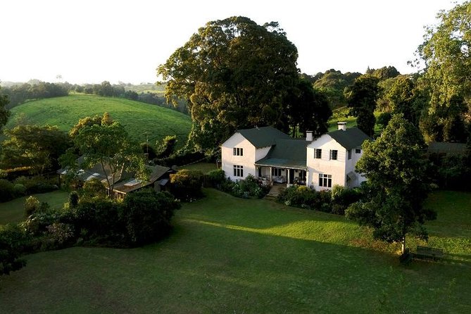 Private Day Trip to Kiambethu Tea Farm in Limuru from Nairobi - Private tour pacing: guides, drivers, and how you actually experience the day