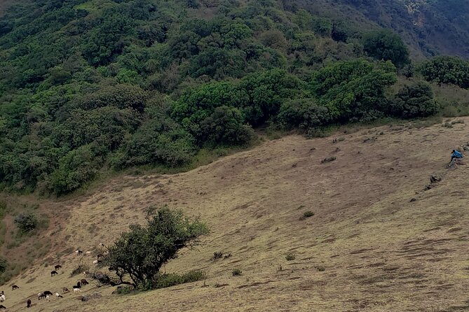 Private Half Day Hike to Ngong Hills from Nairobi - Your guide and pace: the difference between rushing and enjoying