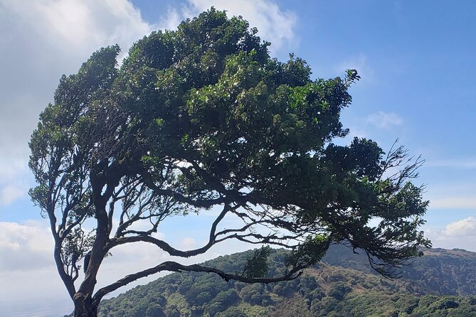 Private Half Day Hike to Ngong Hills from Nairobi - The drive to the hills and what happens before the first step