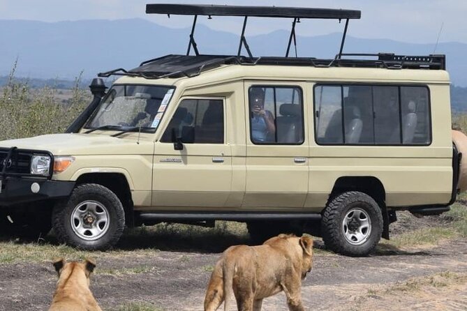 Private Half Day Tour in Nairobi National Park Safari - Getting There Fast: Pickup, the Expressway, and Less Stress