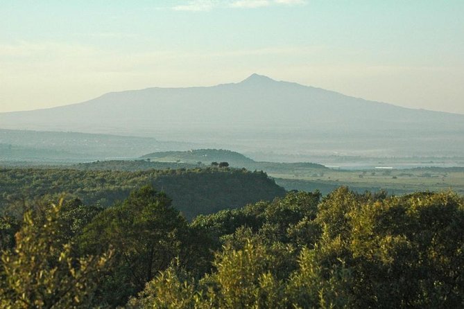 Private Hiking Day Trip to Mt. Longonot from Nairobi - Entering Mt. Longonot National Park and tackling the crater hike