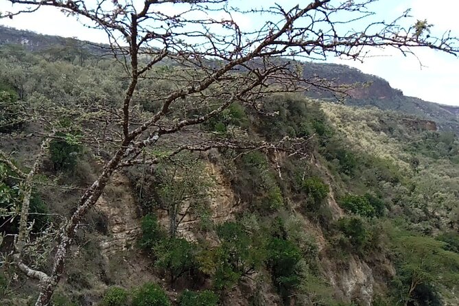 Private Hiking Day Trip to Mt. Longonot from Nairobi - Lake Naivasha boat cruise: where fish eagles and hippos steal the show