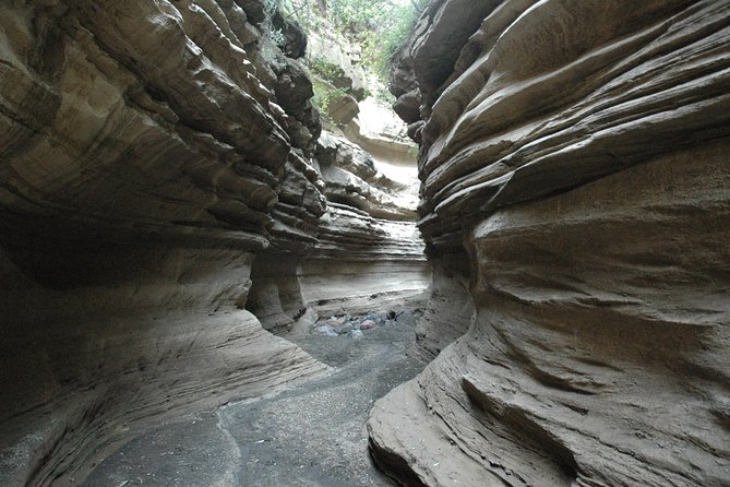 Private Layover Tour to Hells Gate National park with Optional Boat Ride - Who this tour is best for (and who should think twice)