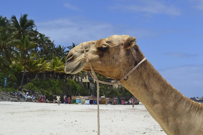 PRIVATE: MOMBASA FULL DAY TOUR and EXCURSUION - Akamba Handicraft: watch the carving, then shop with context
