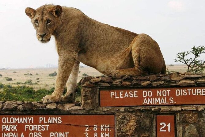 Private Nairobi National Park Day Tour - The game drive zone: savannah, rocky valleys, and highland forest