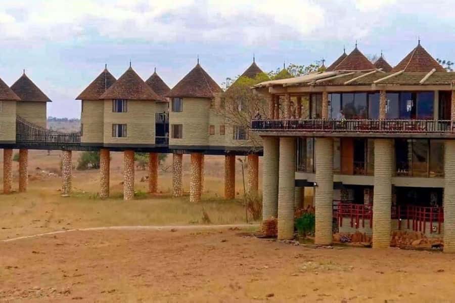 PRIVATE OVERNIGHT SALTLICK SAFARI FROM MOMBASA OR DIANI - Salt Lick Lodge on stilts, and why this overnight feels different