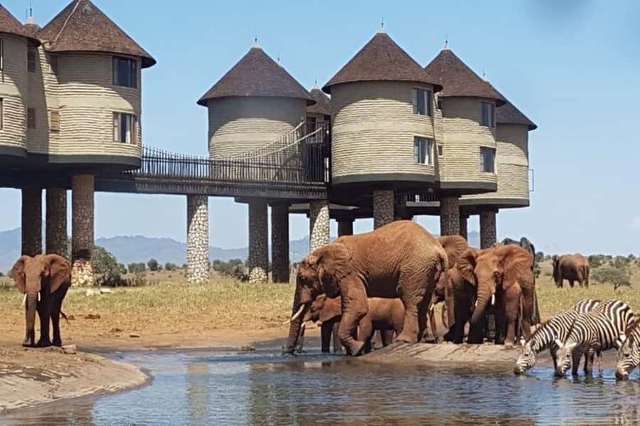 PRIVATE OVERNIGHT SALTLICK SAFARI FROM MOMBASA OR DIANI - Price and value: what $600 per person really buys