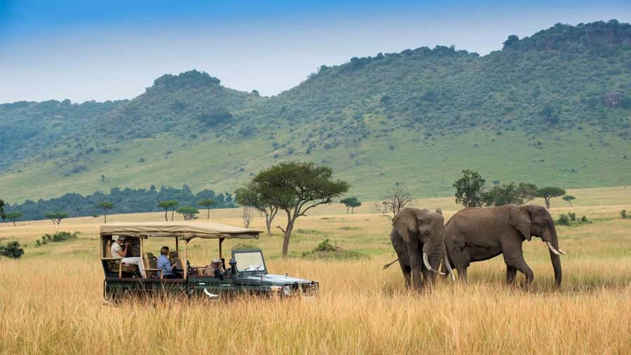 Private Safari Day-Tour in Amboseli National Park - Your main game drive: planning for elephants, zebras, giraffes, and more