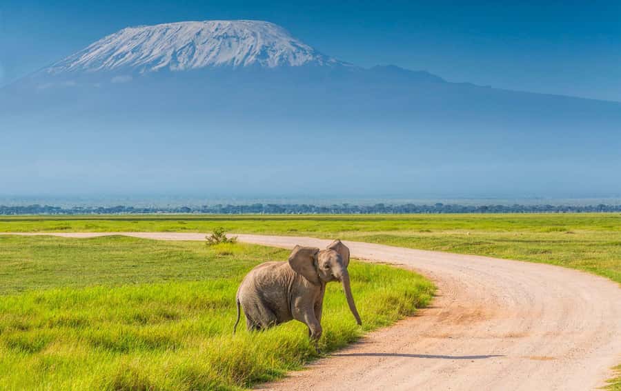 Private Tour to Amboseli National Park - Why Amboseli starts with the 5:00 a.m. wake-up