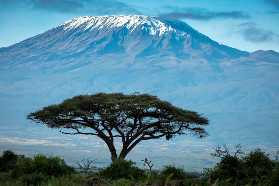 Private Tour to Amboseli National Park - The pop-up roof safari vehicle for better animal sightings