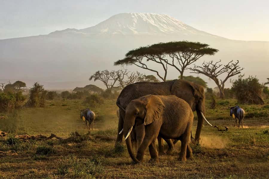 Private Tour to Amboseli National Park - Kilimanjaro moments from the Amboseli hilltop viewpoints
