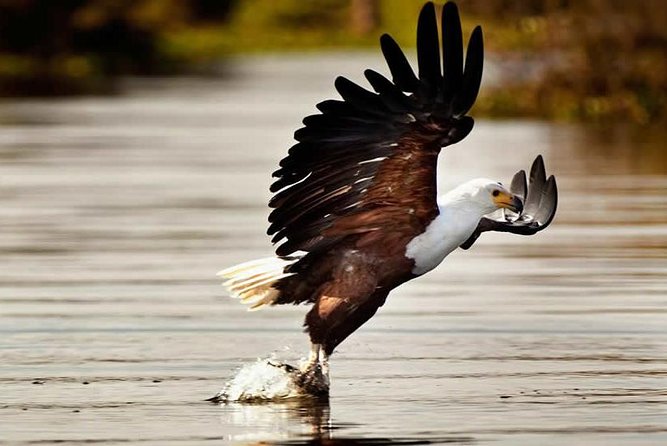 Private Tour to Mount Longonot and Optional Boat Ride on Lake Naivasha - From Nairobi to the rift viewpoint at 6:30am