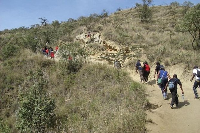 Private Tour to Mount Longonot and Optional Boat Ride on Lake Naivasha - Nairobi timing, private transport, and real-world road conditions