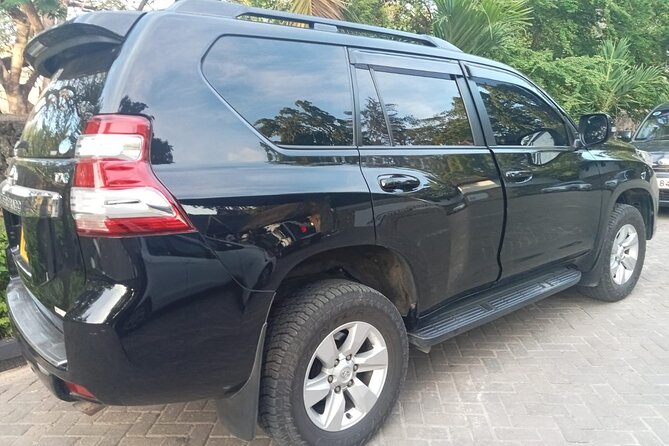Private Transfer from Mombasa - Who this transfer fits best