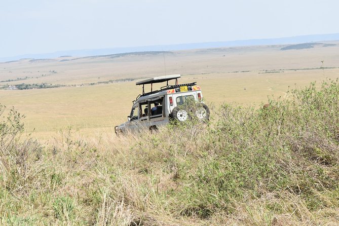 Private Transfer from Nairobi Airport or city To Maasai Mara By Road - The Human Part: Communication and Dependability You Can Feel