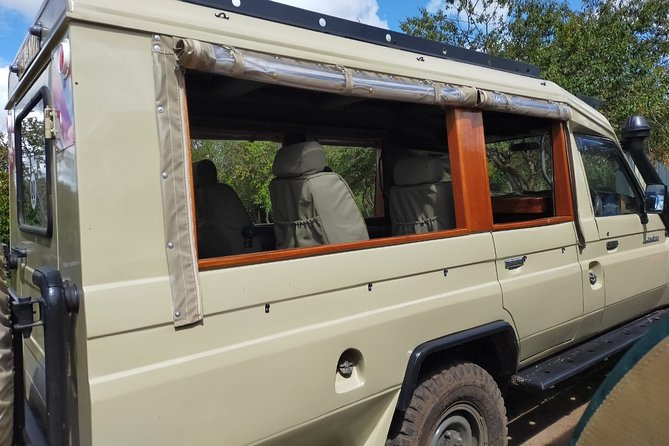 Private Transfer from Nairobi Airport or city To Maasai Mara By Road - The Great Rift Valley Photo Stop: A Quick Break With Real Payoff