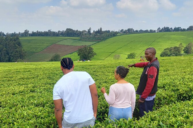 Riara tea farm tour with lunch and tea tasting from Nairobi - Key Things You Should Know Before You Go
