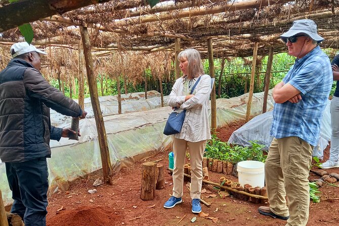 Riara tea farm tour with lunch and tea tasting from Nairobi - Entering Limuru and Riara Tea Farm: What the Farm Tour Really Includes
