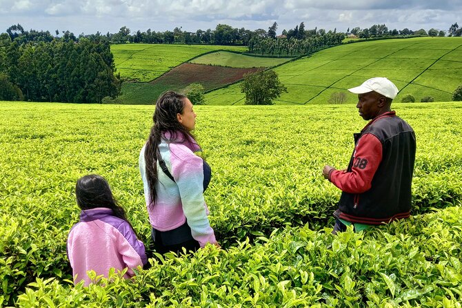 Riara tea farm tour with lunch and tea tasting from Nairobi - Lunch After the Fields: Barbecue-Style Meal and Dietary Options