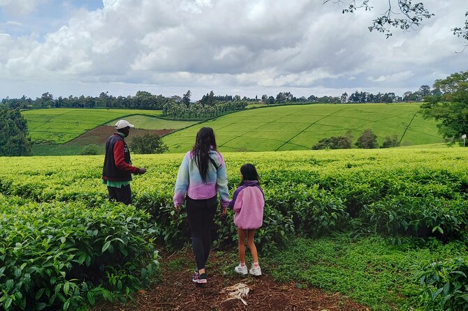 Riara tea farm tour with lunch and tea tasting from Nairobi - Price and Value at $150: What You Get for a Half Day